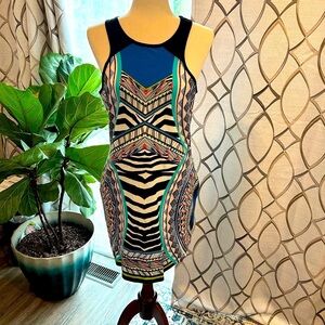 Express Animal Print and Astract Print 95% cotton dress! Size Large